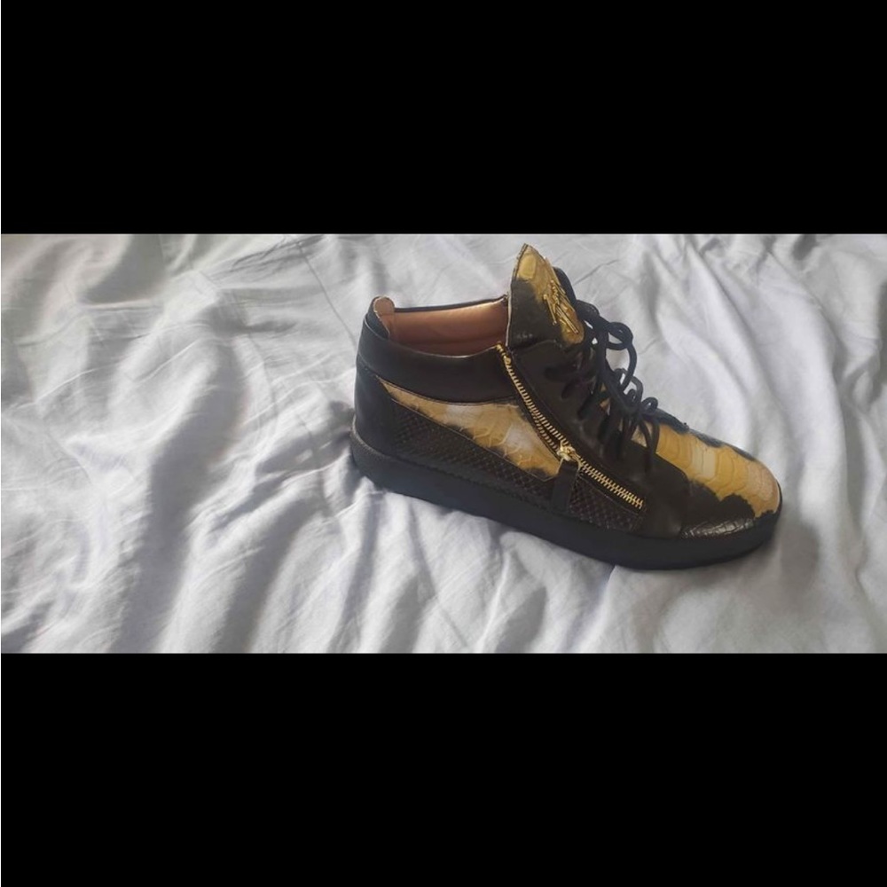 Giuseppe Zanotti Kokis